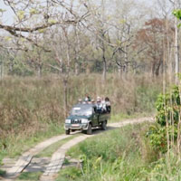 Jeep Drive in Chitwan Jungle Safari