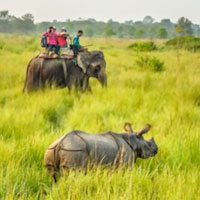 Nepal Jungle Safari - Elephant Back Safari