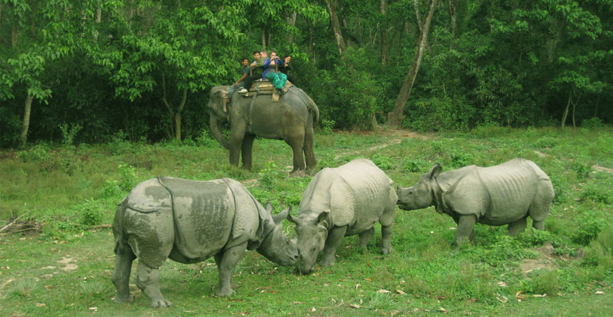 Nepal Jungle Safari