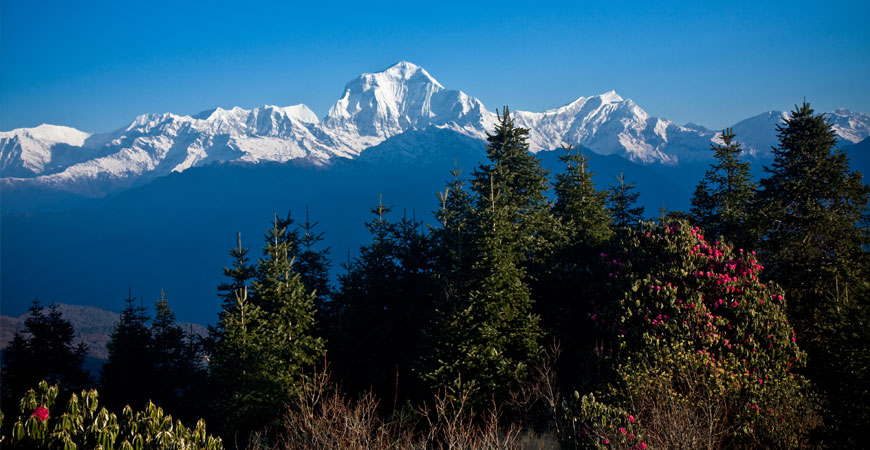 Ghorepani Poon Hill Yoga Trek – 7 days