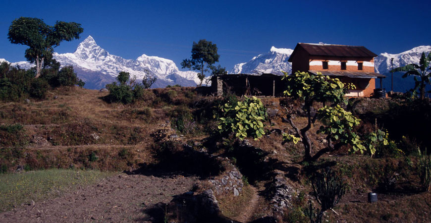 Panchase Trekking